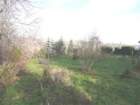 p1010281_small.jpg