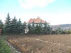 p1010289_small.jpg