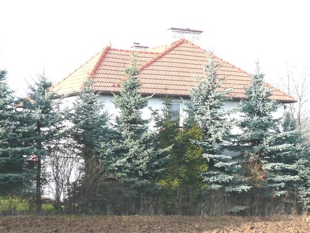 p1010290.jpg
