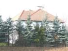 p1010290_small.jpg