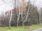 p1010291_small.jpg